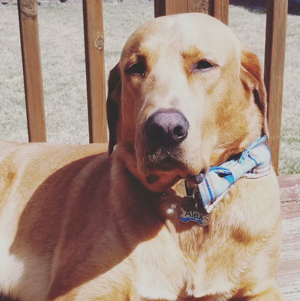 Portage Track & CC tweet media