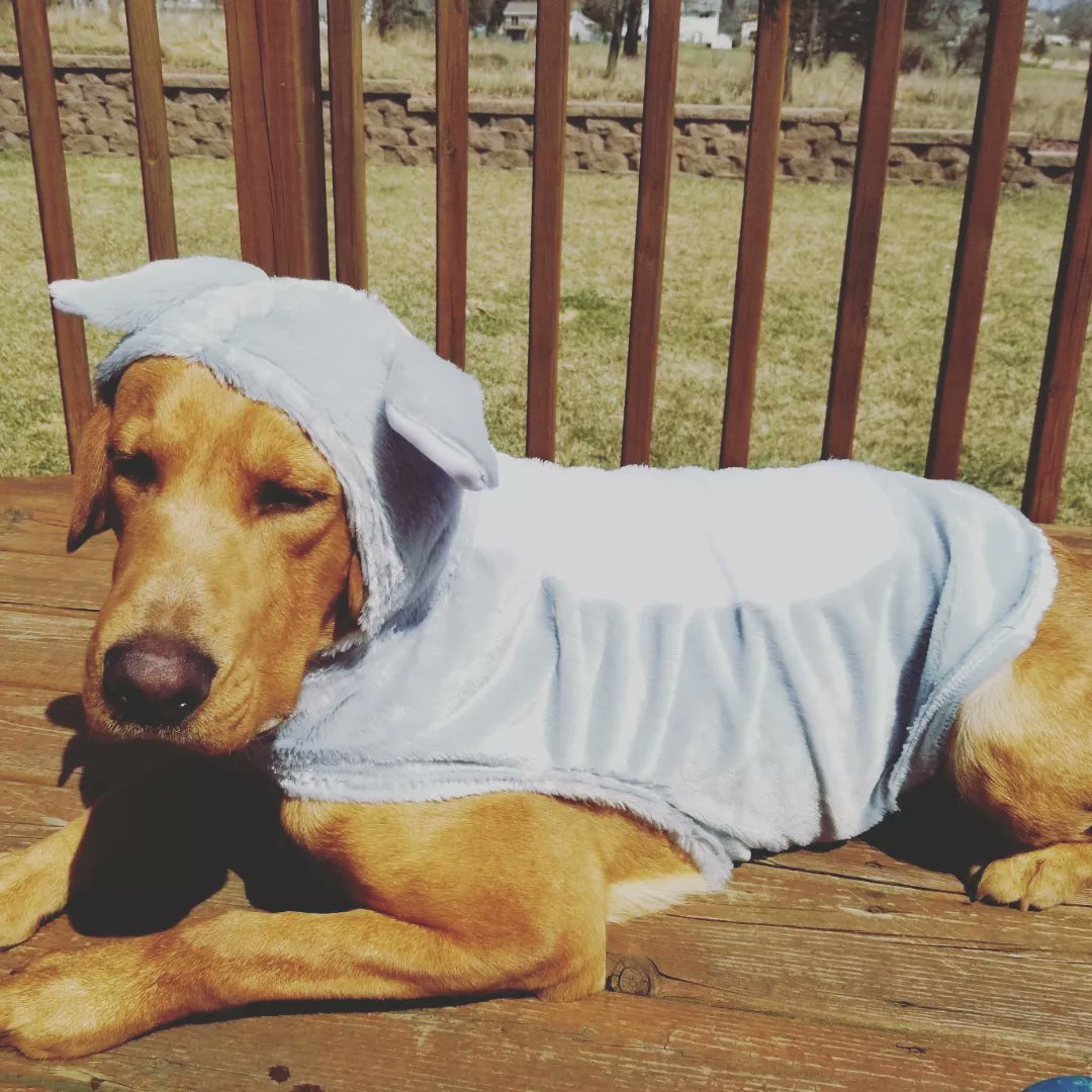 Portage Track & CC tweet media