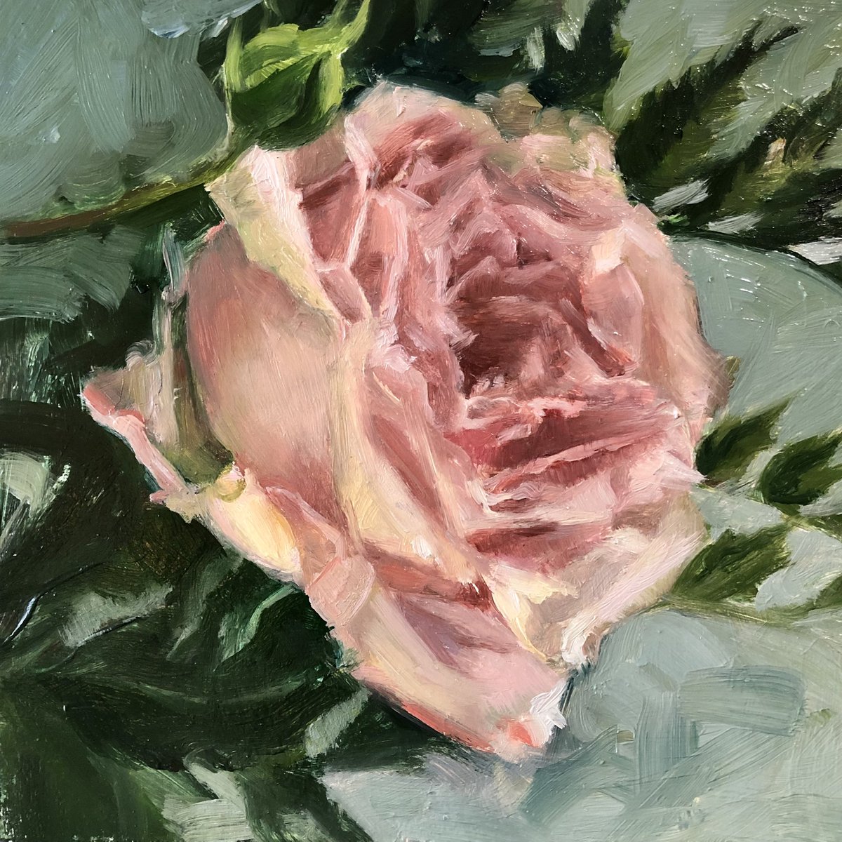 AngeJacksonArt's tweet photo. #wip -Little (6βx6β) oil study of a birthday rose. Have now netted off all of our roses from the deer so am optimistic that I might have some homegrown ones to paint this year!π¦π¬πΉπ¨ #oilpainting #flowers #flowerstudy
#oilstudy #oilsketch #rose #cumbria #contemporaryart https://t.co/0avK6AFnb4