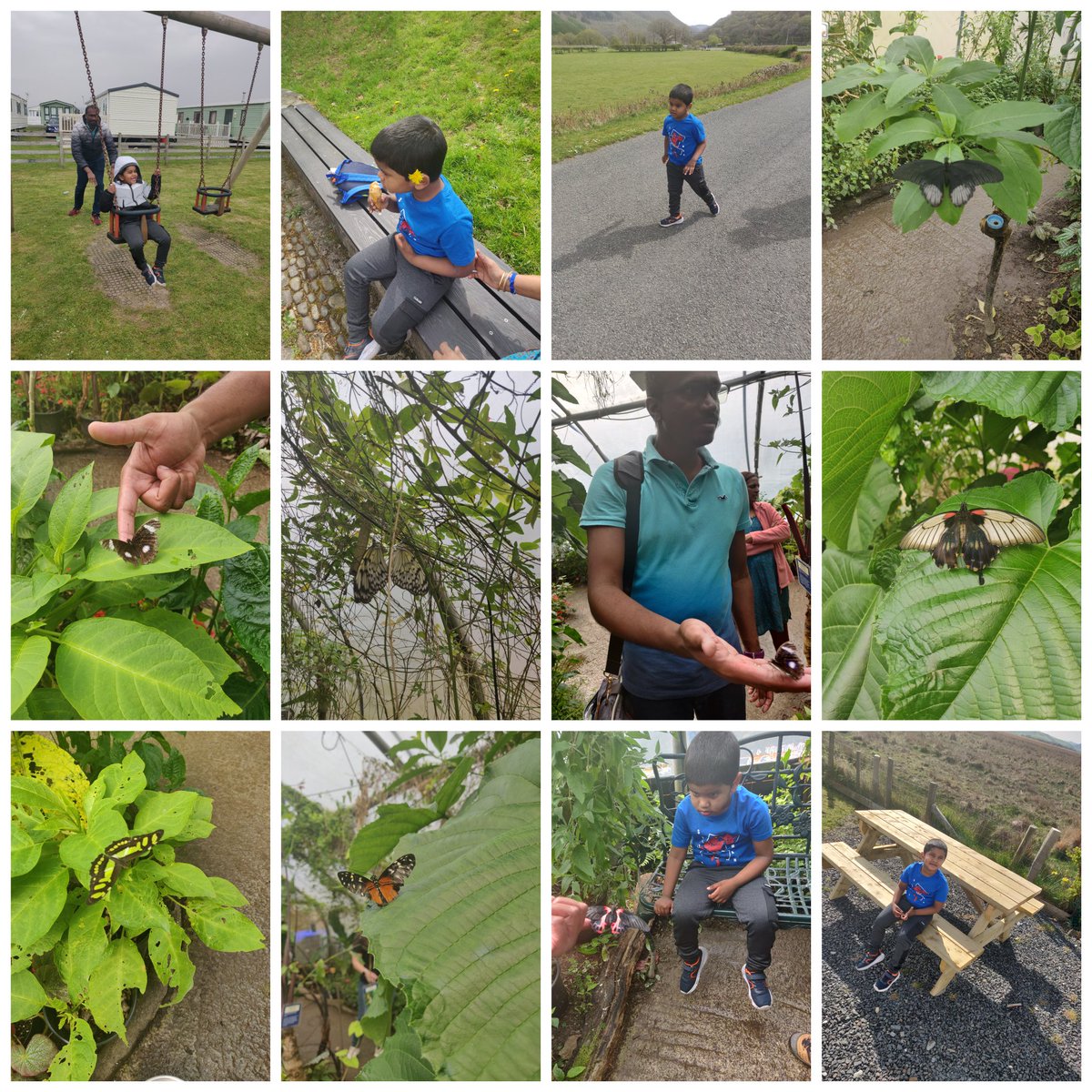 ArtMaran1205's tweet photo. @OPALL_Rainbow21 @OPA_LL #OPAfunhomework Fun day out - seeing the butterflies, enjoying the play ground https://t.co/kkIn6hDDRL
