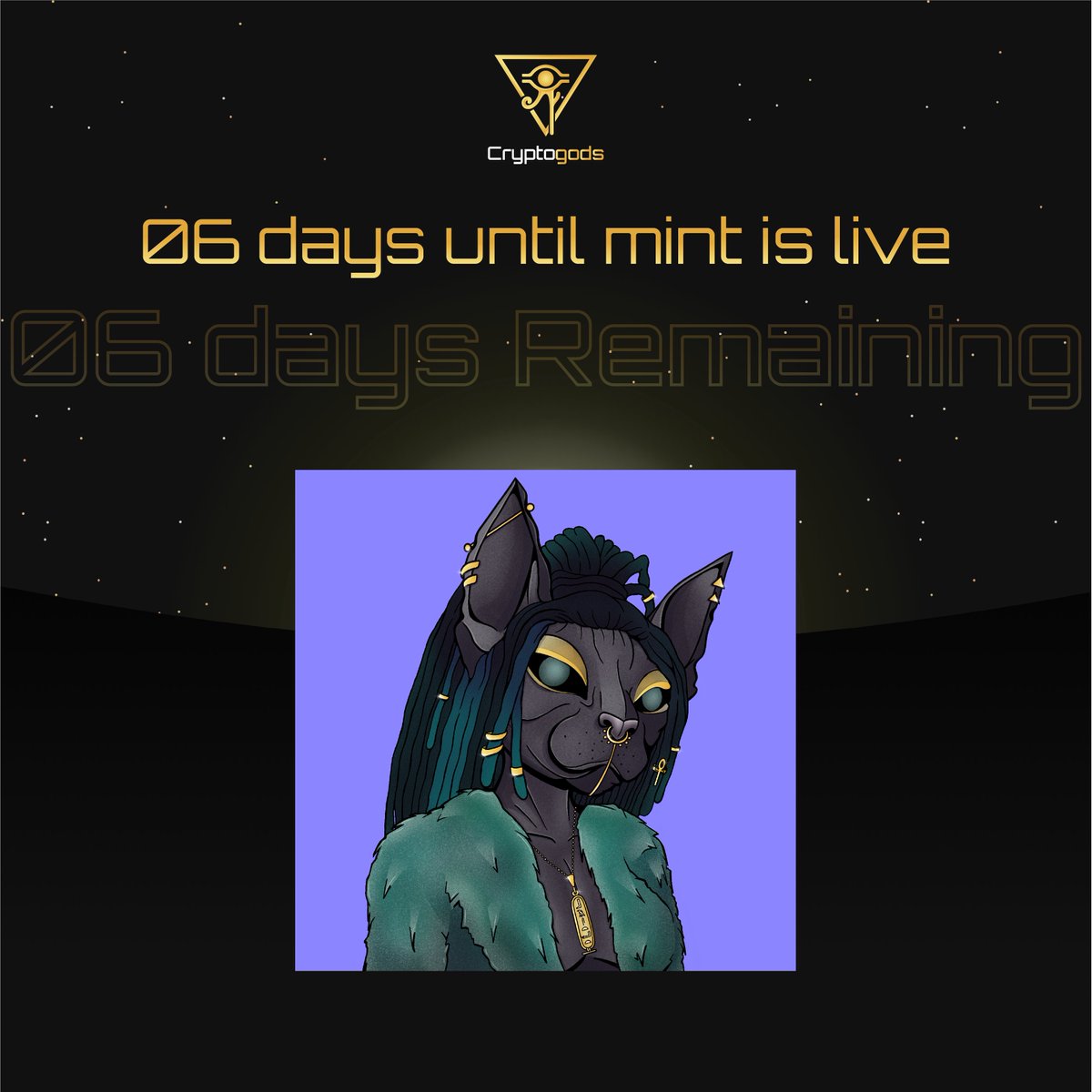 Crypto Gods tweet media