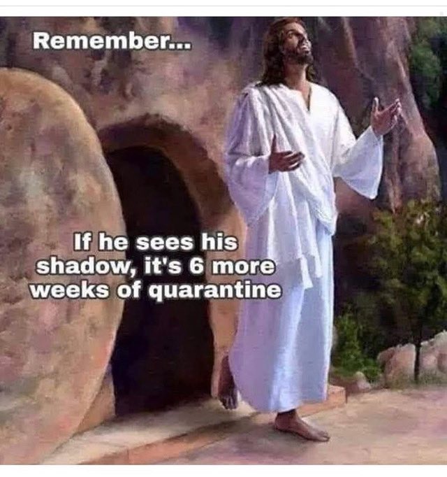 Slider_Devil's tweet image. If he just stayed in his hole...