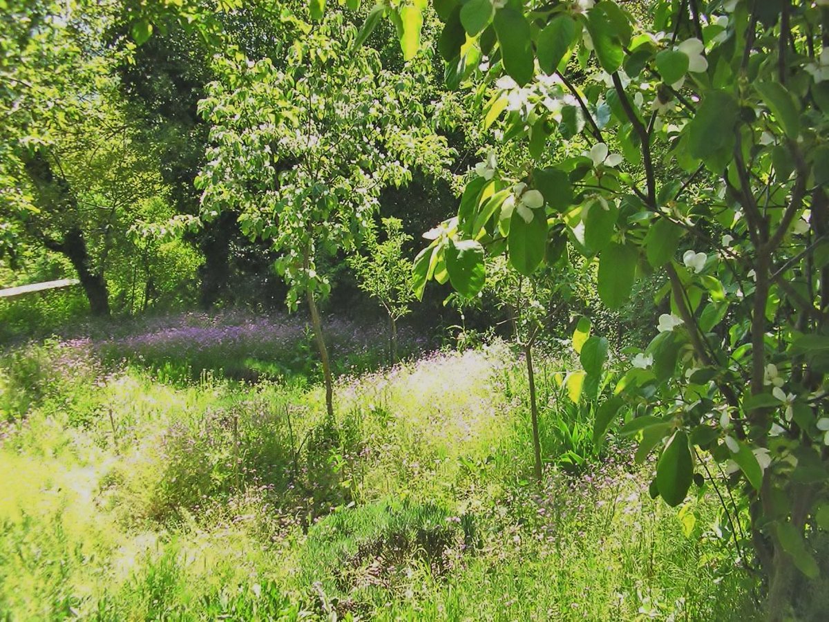 DorsetWriter's tweet photo. #NextMonth #WithLuck #Zagori #Greece #May https://t.co/5KTjx2c0Yy