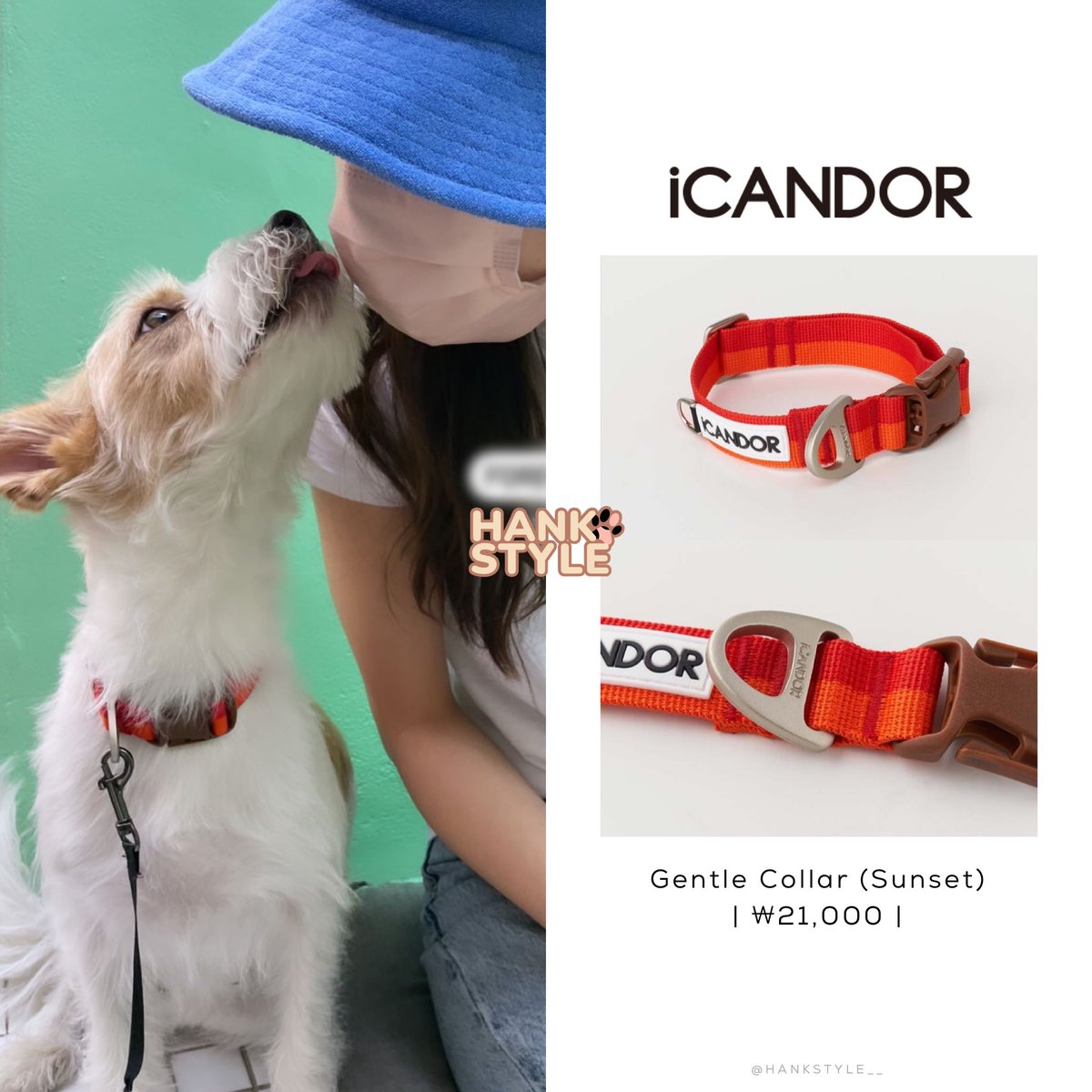 HankStyle__'s tweet photo. ALICE IG UPDATE WITH HANK (220417)

Brand: iCANDOR
Product: Gentle Collar (Sunset)
Price: ₩21,000

#ROSÉ #로제 #HANK #행꾸 #Style #BLACKPINK #블랙핑크 @BLACKPINK https://t.co/4tqZ38YBVt