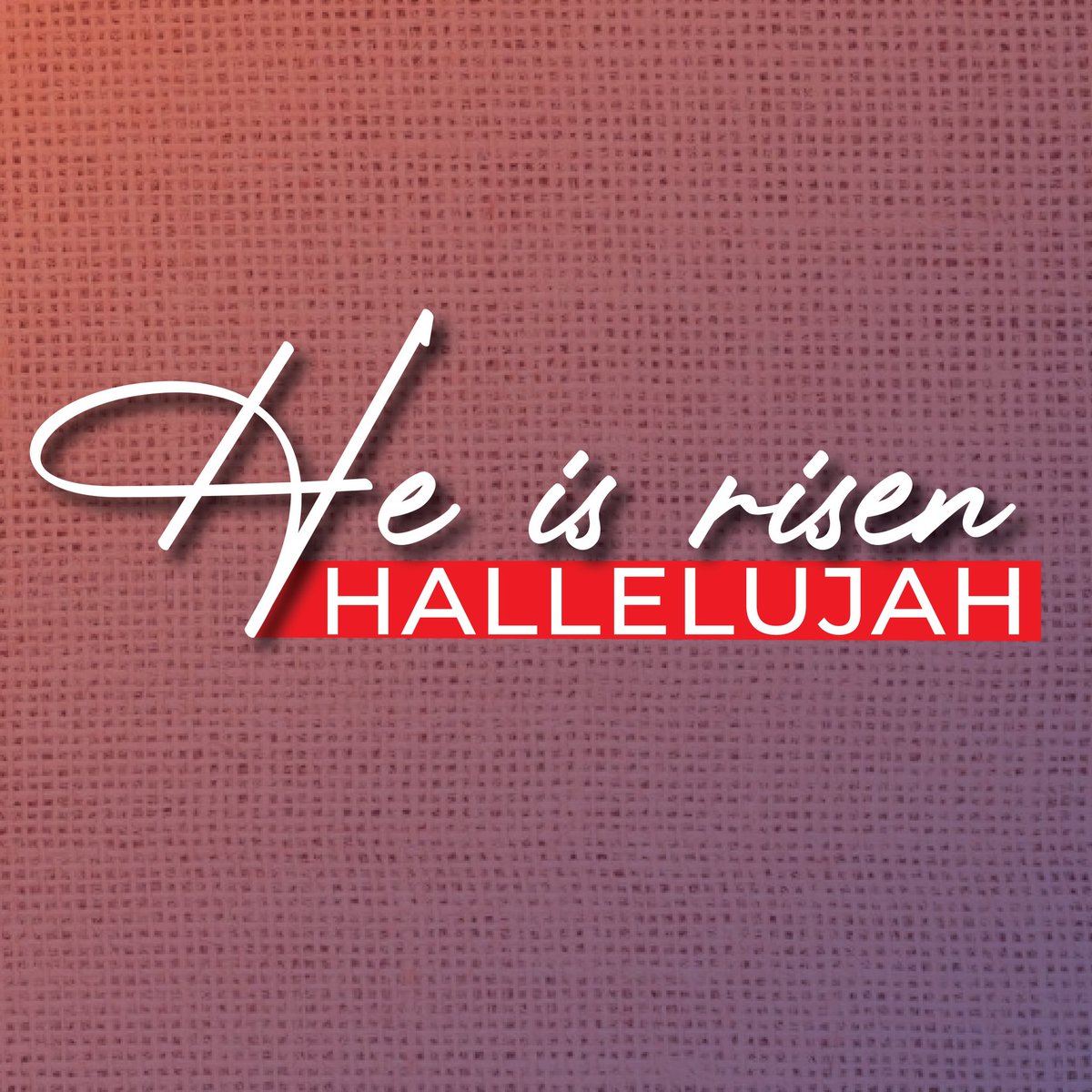 WinAmericaPAC's tweet photo. HE is risen! ✝️💛 #happyeaster #heisrisen #jesus #winamerica https://t.co/Xa68yf7m1Z