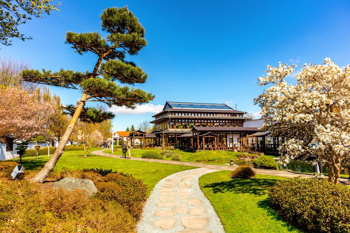 oliverhlavaty's tweet photo. 🔸 Hanami • Gedanklich mal eine kurze Auszeit nehmen? In #BadLangensalza alles gar kein Problem! 🧘🏽♂️ Im #JapanischenGarten kannst du dir prima eine gedankliche #Reise nach #Fernost gönnen! Wirklich lohnenswert… und ein echter #Genuss für die Seele! 🌸😌 https://t.co/0DqKa8pnU5
