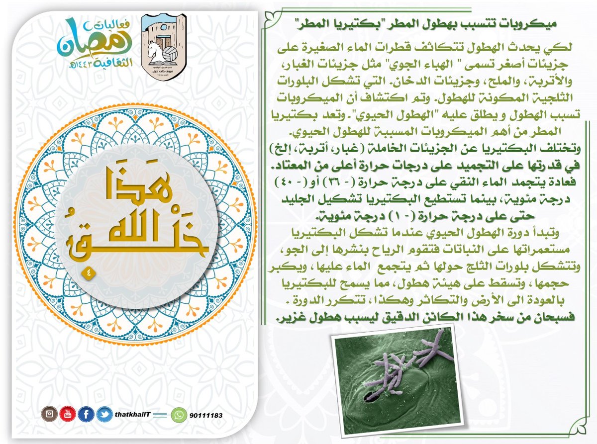 thatkhailT's tweet photo. سلسلة هذا خلق الله ٤ https://t.co/N7E4spamhB