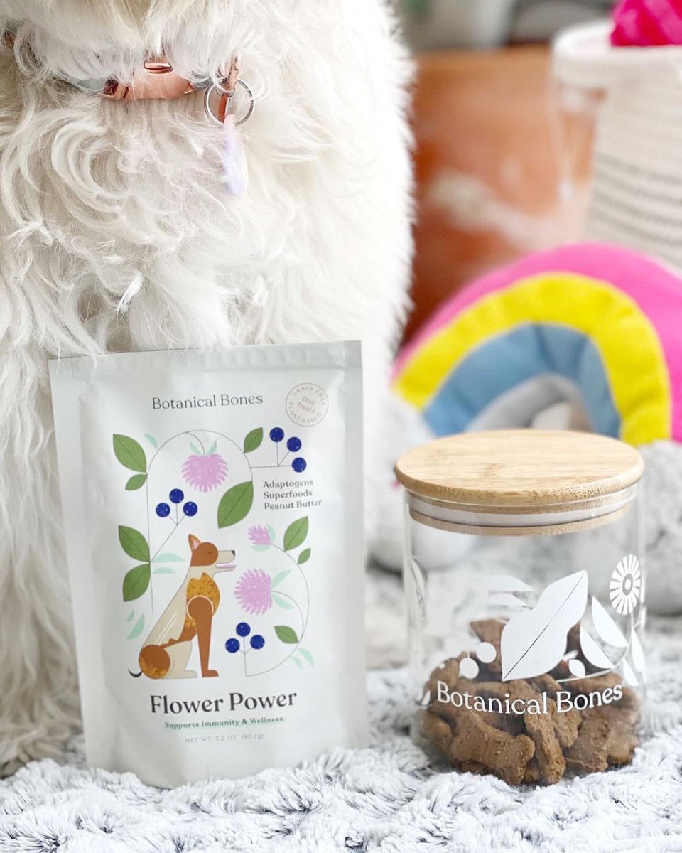 botanical_bones's tweet photo. Flower power vibes 🦴✨ #DogsofTwittter https://t.co/2lSWR3tkdI