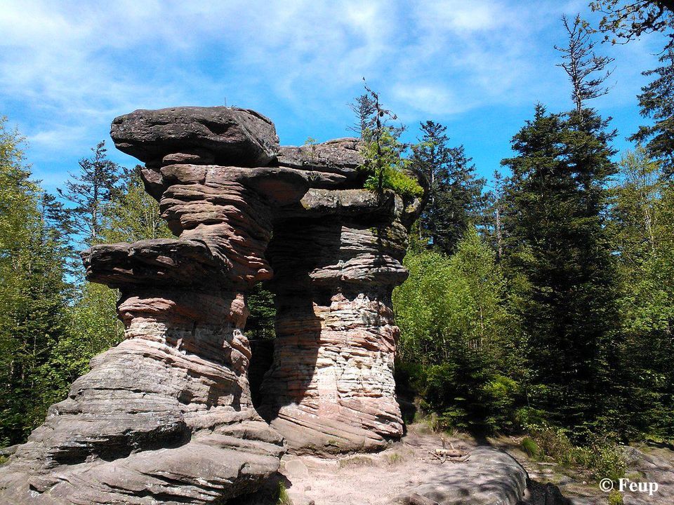 OuSortirEn's tweet photo. 💙 La Porte de Pierre en Alsace !
Il s'agit d'un monolithe de grès rose, composé de trois piliers et d'un linteau, planté au cœur de la forêt dans le massif du Donon. 67 Lutzelhouse 👉 https://t.co/o12ClcW5vV
#PortedePierre #lutzelhouse #Alsace #ousortiren #quefaireen https://t.co/TK0pRu3bUh