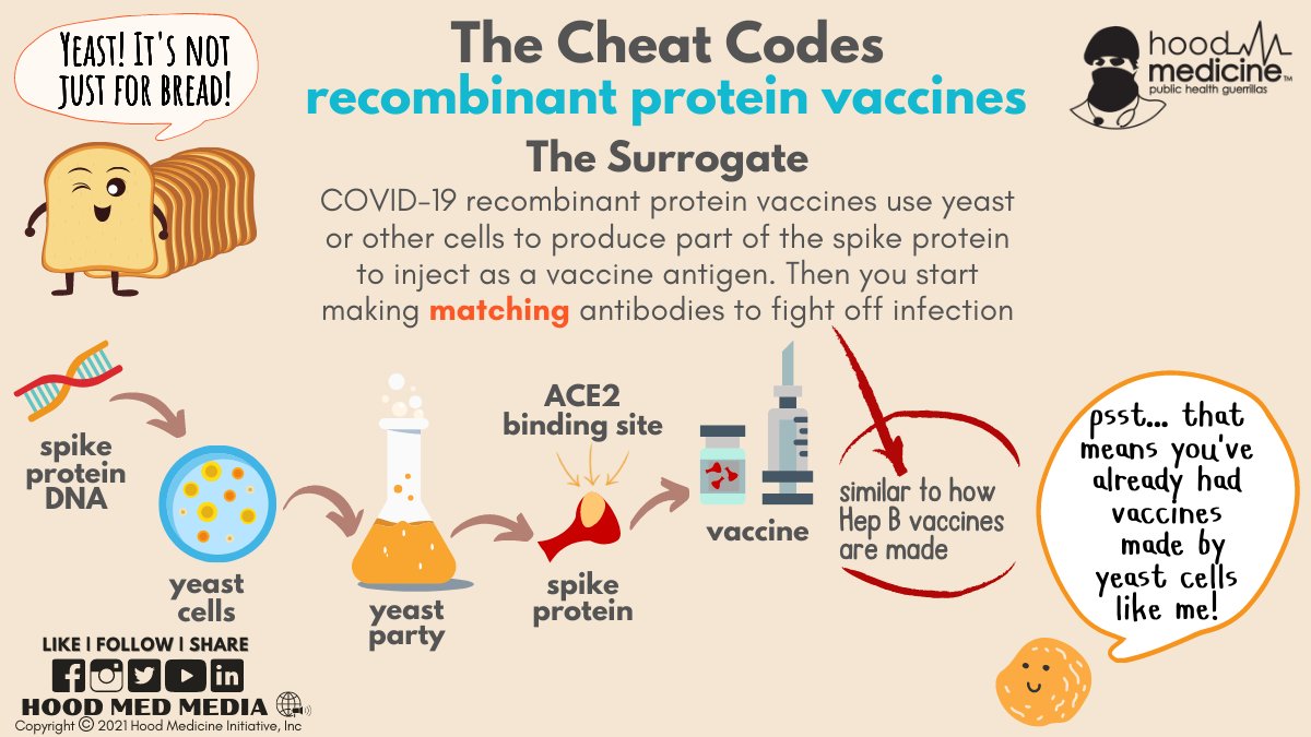 hood_medicine's tweet photo. @NobelPrize nominated Drs. @MEBottazzi & @PeterHotez celebrated a new milestone last week when @MoHFW_INDIA confirmed 20 M kids aged 12-14 were immunized with their #Corbevax #COVIDVaccine developed jointly between @Biological_E & @TexasChildrens.
#UsingScienceForGood
#PHG🦍 https://t.co/Jjz0phuJrt