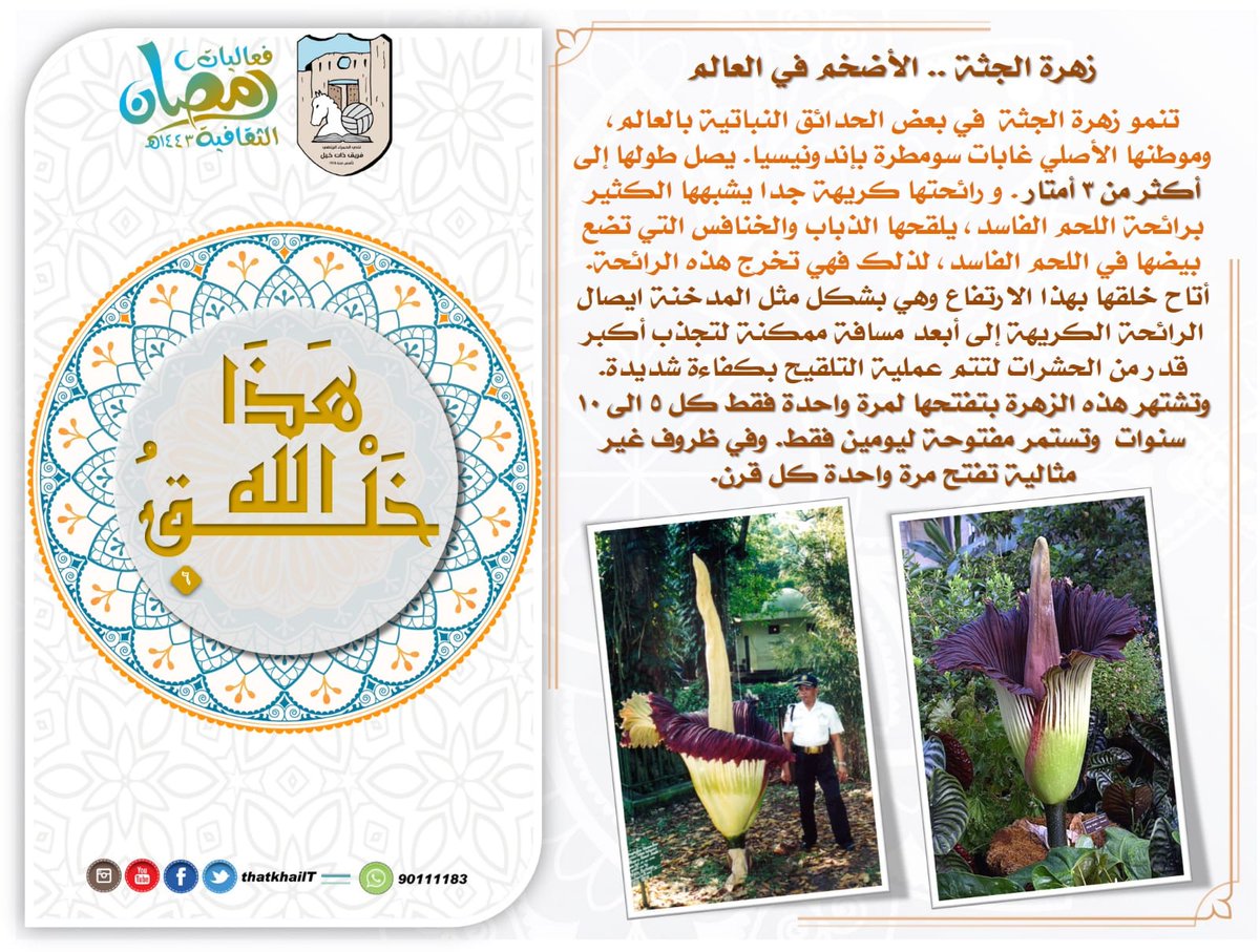 thatkhailT's tweet photo. سلسلة هذا خلق الله ٦ https://t.co/7NBiCs7ti3