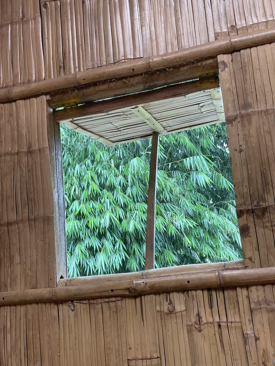 ThinkBamboo tweet media