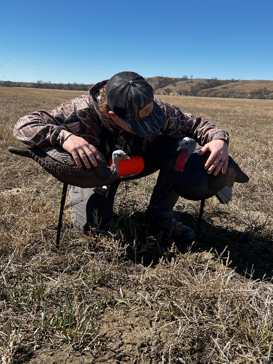 701pursuit's tweet photo. Speaking of #turkeyhunting setups, what do y'all run for decoys and what style of #hunting do you do? Tell us below!

#701Pursuit #turkeyhunting #springturkey #gobblers #gobblegobble #setups #hunting #outdoors #thunderchicken #decoys #groundblind https://t.co/b5Z2KvghWy