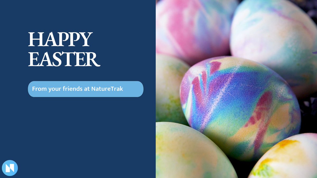 naturetrak's tweet photo. Wishing everyone a wonderful Easter holiday! 🐣 #naturetrak https://t.co/f7Ptn20Ixf