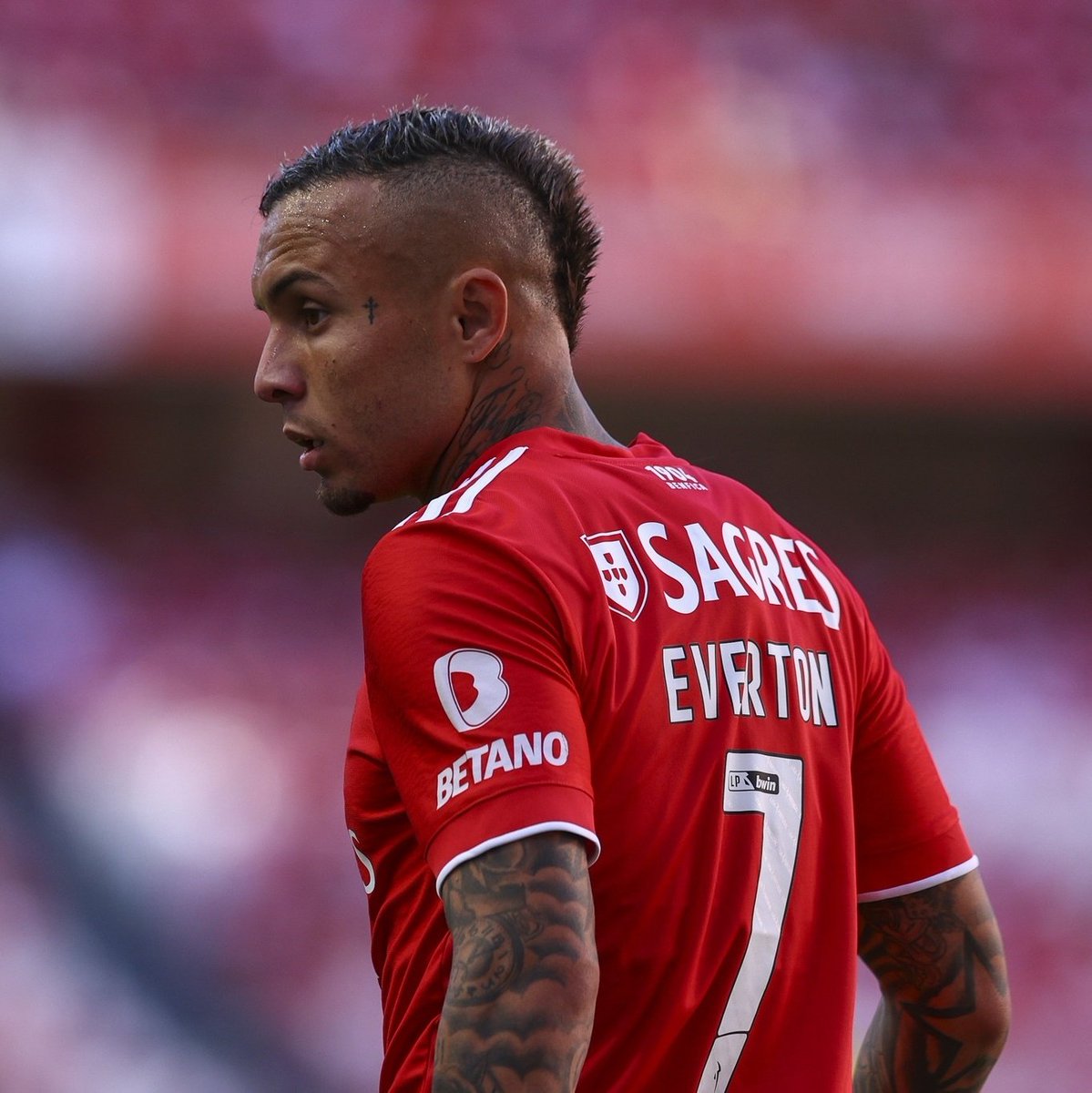 Perfil brasileiro com tudo sobre o SL Benfica. 🦅🇧🇷

RT pra ajudar? 🙃