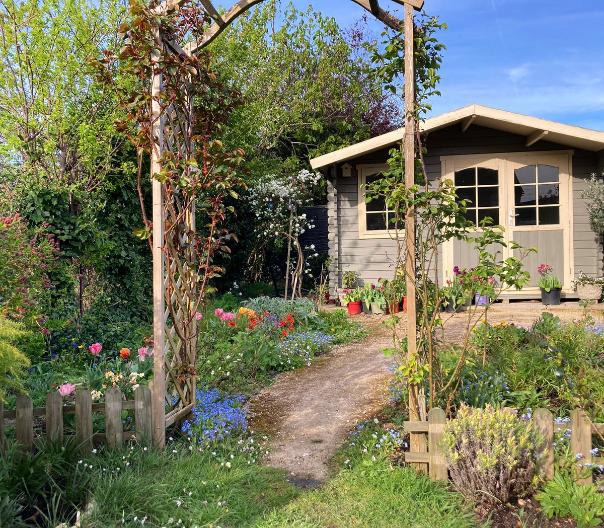 🌈Great to see the Summerhouse Meadow Garden bursting back to life🌈

#nannysgardenworld 

#flowers #garden #springtimegarden #gardening #GardeningTwitter #flowerbeauty