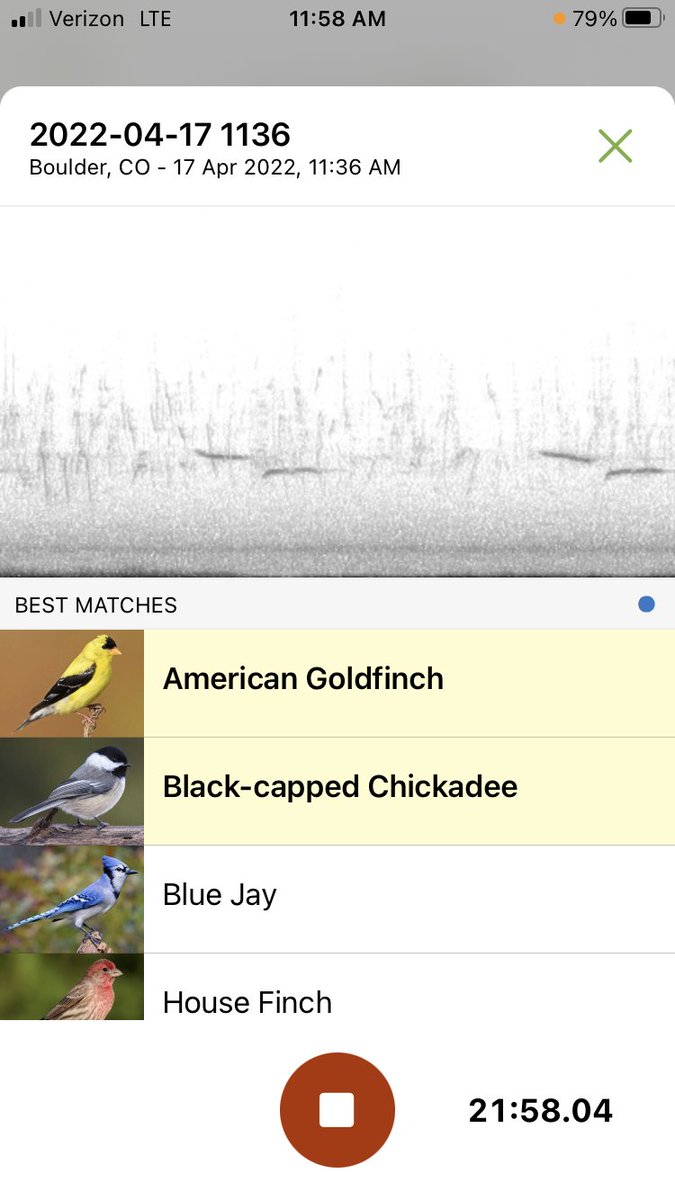 Grant_Van_Horn's tweet image. Super excited to announce the release of Sound ID 2.0, available today in Merlin Bird ID on iOS! While the UI remains the same, everything "under the hood" has been rewritten and optimized. 
2.0 is more accurate, more efficient, and covers more species! Hope you enjoy!