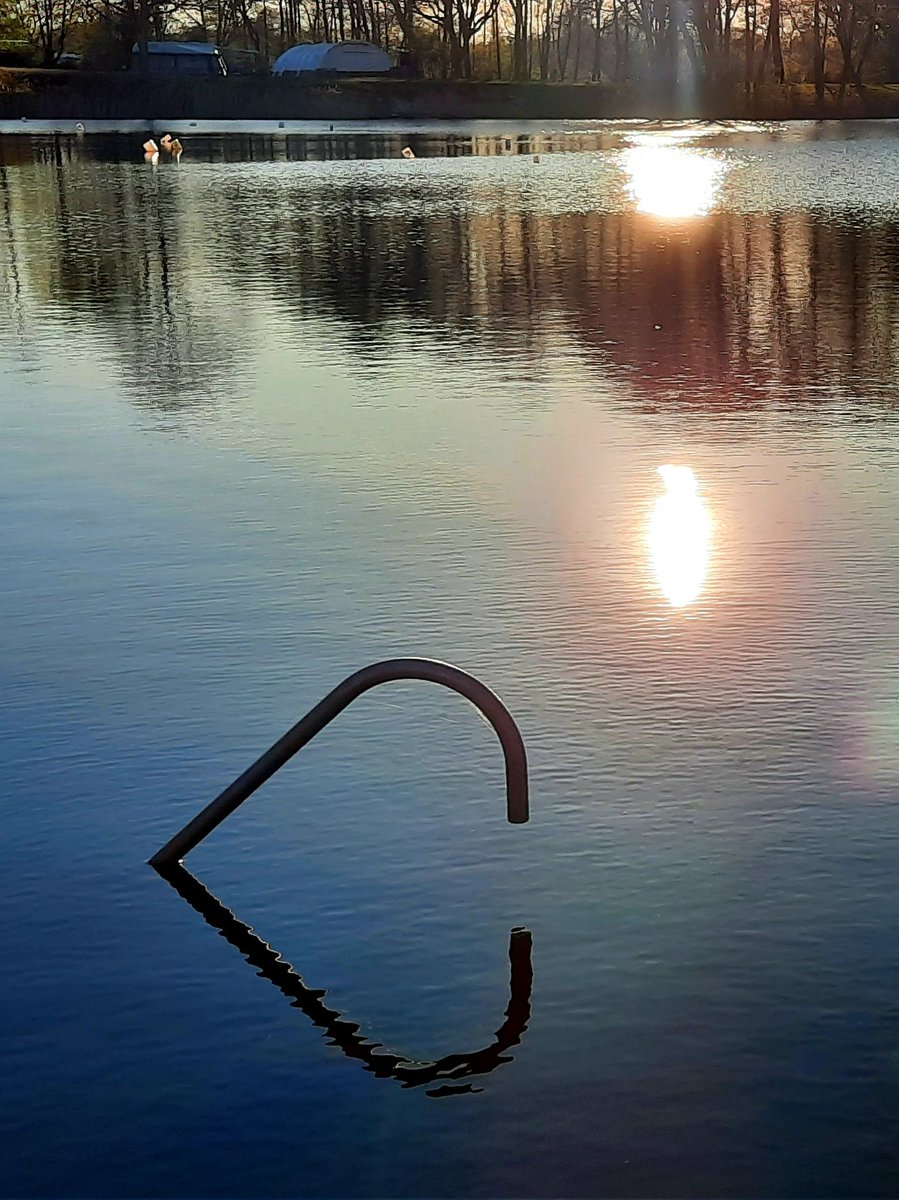 Overal is liefde voor wie het wil zien..
#veenmeer #Tynaarlo