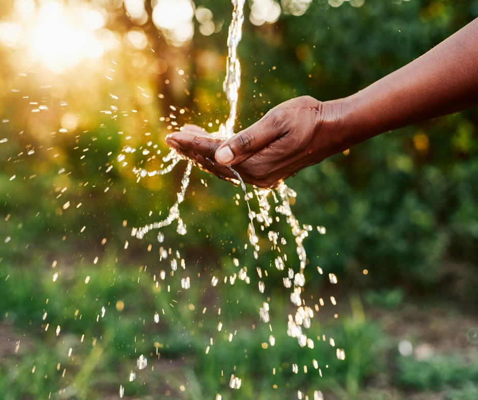 MtAiryLearning's tweet photo. A course for curious adults with little to no science background! Through discussions and mini-lectures, we'll explore scientific ideas relating to climate change and conservation.

Enroll in Practical Science, Climate Change and Conservation today! https://t.co/BG8n6w4Tgo https://t.co/MLtbqYyy22