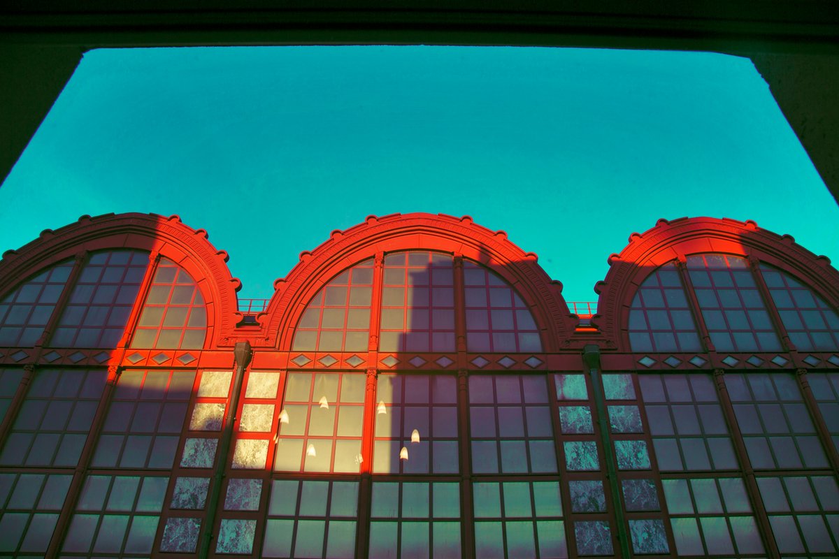 Day 200!..from the 1st day till this day, I keep a promise to post 1 photo every day since Sep 2021
It doesn't matter the result of the ending, 
Only you know what gains within yourself.
Happy Easter day 2u all🍷
opensea.io/assets/0x495f9…
#NFTCommunity #nftphotography