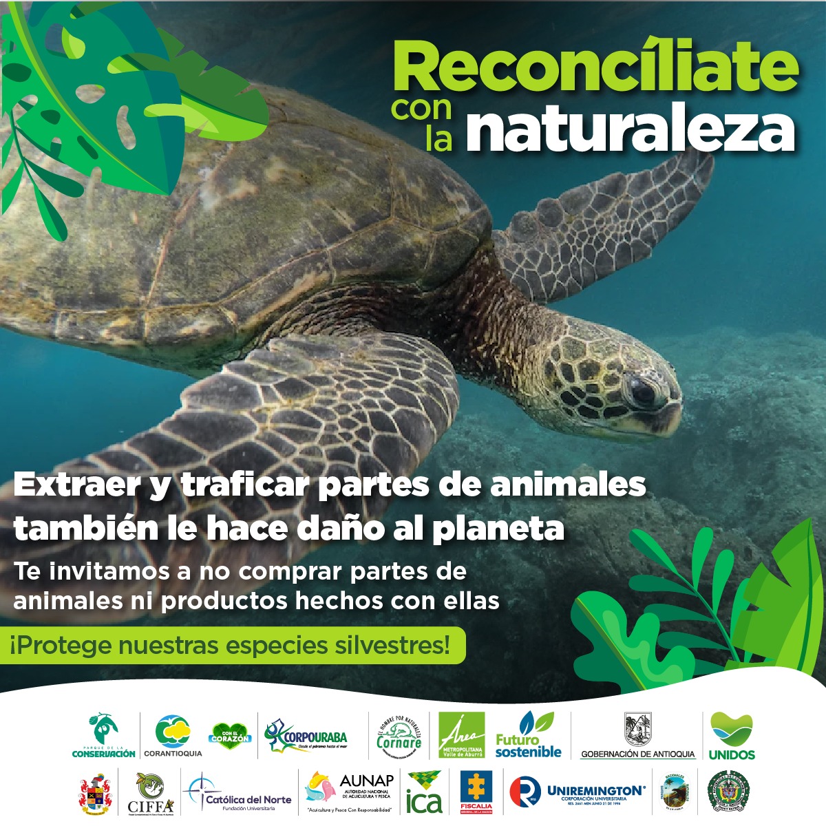 pqconservacion's tweet photo. El planeta tierra es muy sensible. Traficar con su fauna y flora silvestres es un daño irreparable para el hogar que todos compartimos ¡No lo olvides! #ParqueDeLaConservación #CIFFA https://t.co/Hs2JSkhMII
