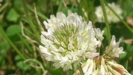 tanosiisupi_bot's tweet image. Uneasiness = information: “I am not fully living in the here and now.”

不安＝「今ココを100％生きていない」というお知らせ
#fear #怖れ #here_and_now #今ココ