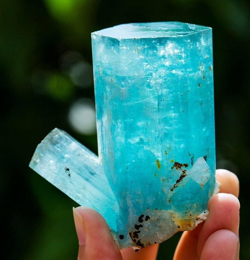 GeologyTime's tweet photo. Amaizing aquamarine crystals
from Erongo Mountains, Namibia

Photo: PacificMineralsShop

#MINERALS https://t.co/A8OdIcm2DG
