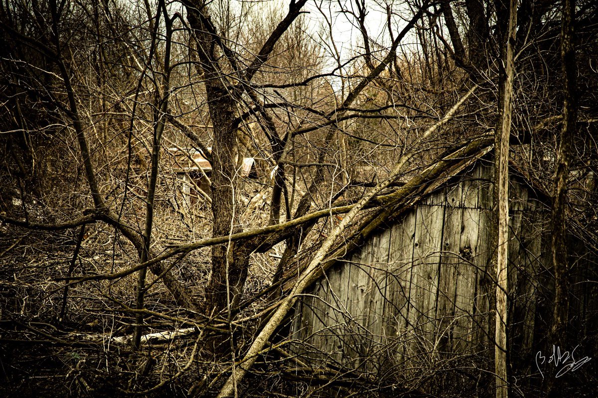 ob_smith's tweet image. #PhotoChallenge2022April #photo #vintagestyle #artist