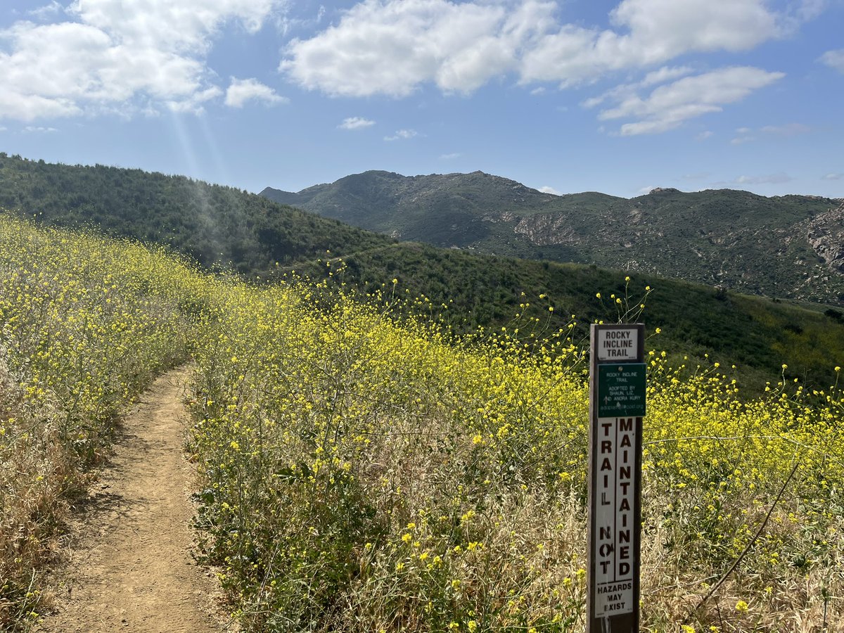 fischshead's tweet photo. Rocky Incline Trail full of Life on Easter Morning!
@COSChallenge https://t.co/DHd7x7hJcP