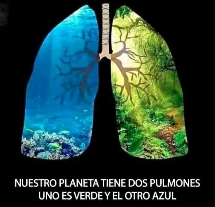 Namaste_Mandala's tweet photo. Cuidėmoslos... https://t.co/cGkVtJNgdb