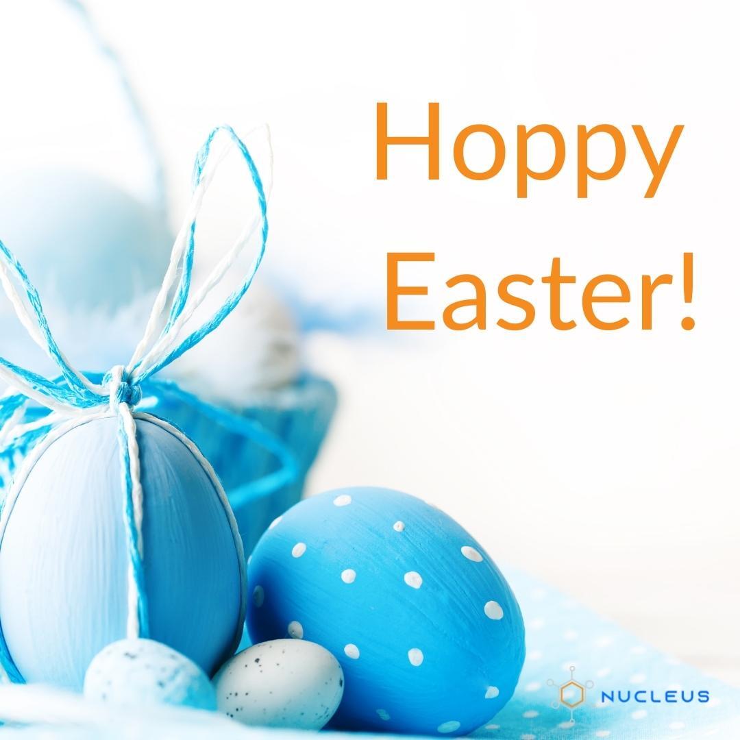 Hoppy Easter! 🐰  
#highrocknucleus #cpaworlddomination #easter #hoppyeaster #easterbunny #happyeaster #eastersunday