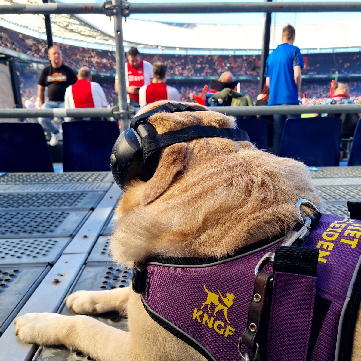 Jacco Bezuijen tweet media