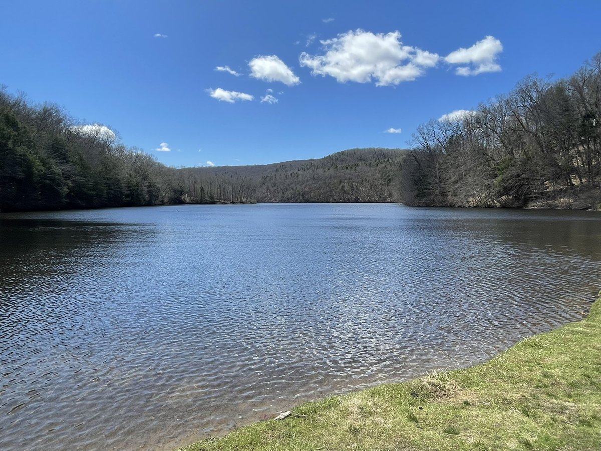 Jamie 🏳️🌈 tweet media