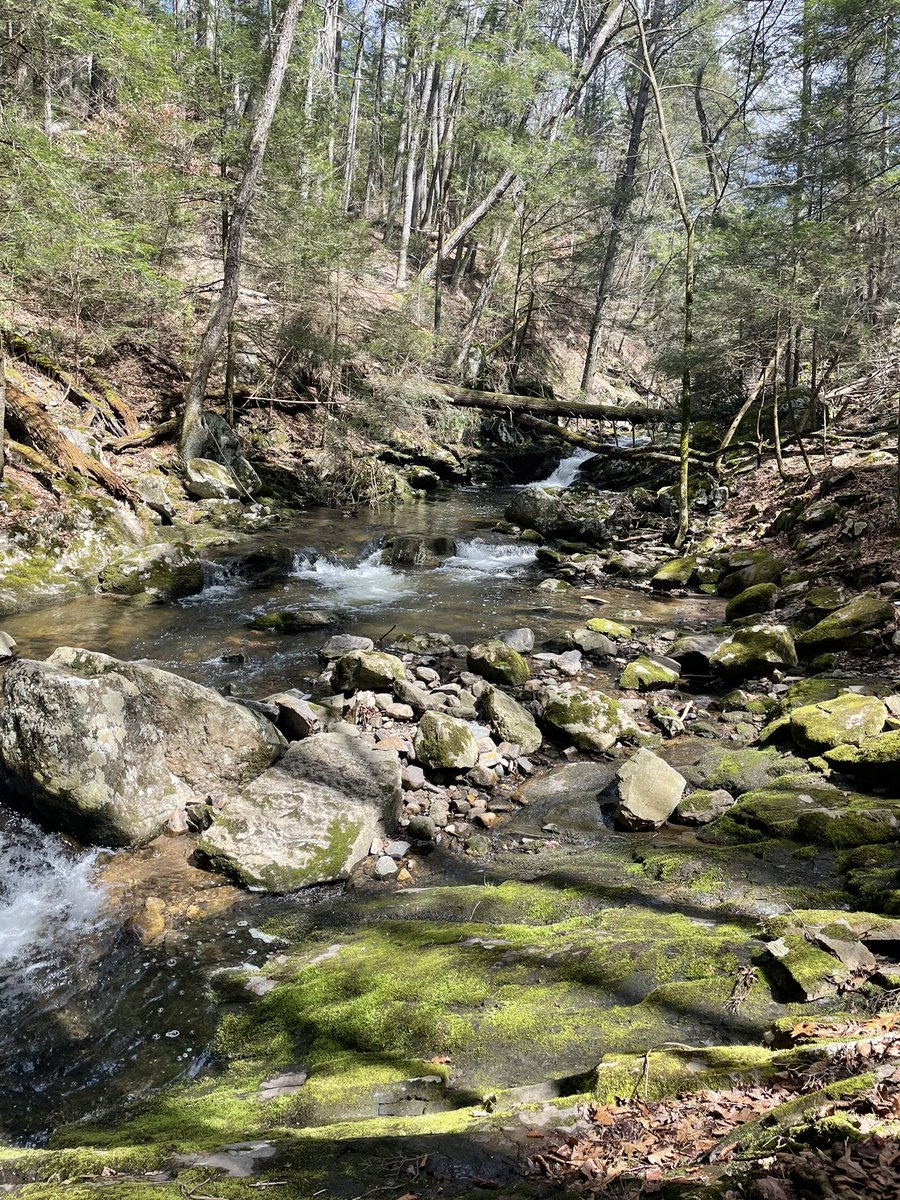 Jamie 🏳️🌈 tweet media