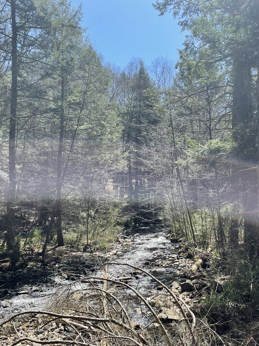 Jamie 🏳️🌈 tweet media