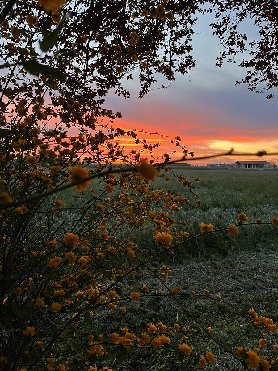 Nicoletta Luppi tweet media