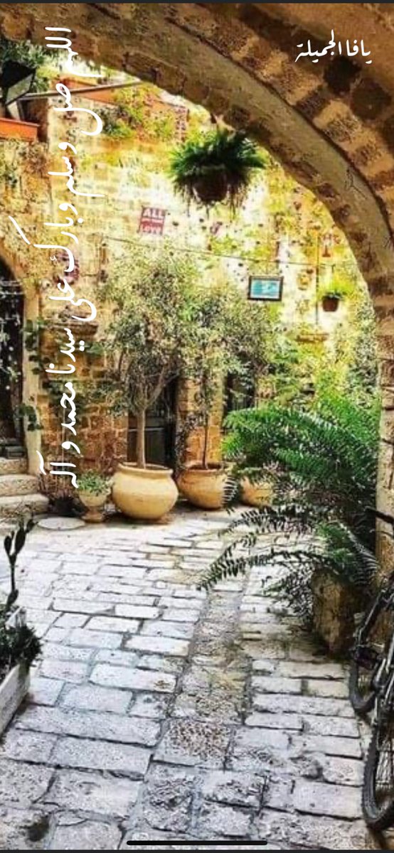 alialwhibi (@alwhibi_ali) on Twitter photo 