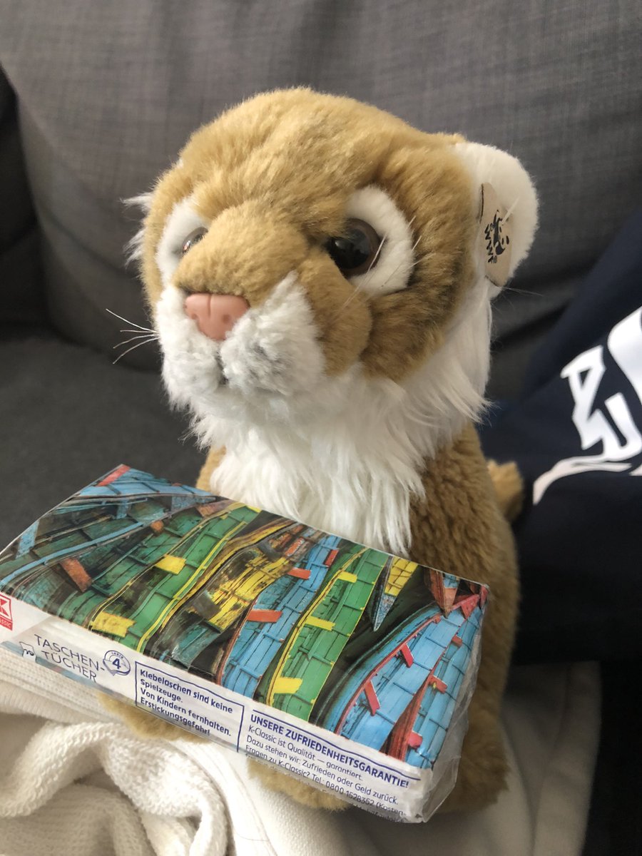 Melanie 🐯 tweet media