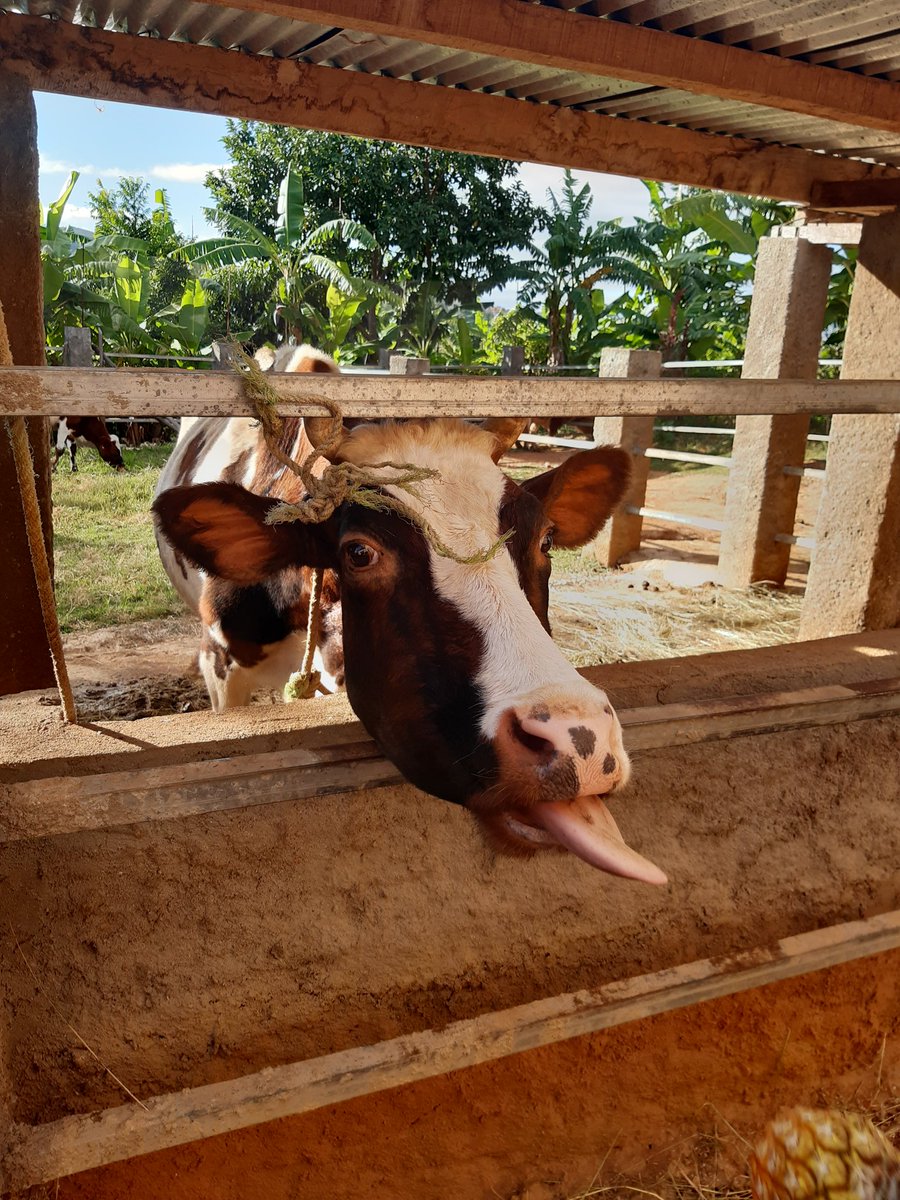 Eric Froidevaux tweet media