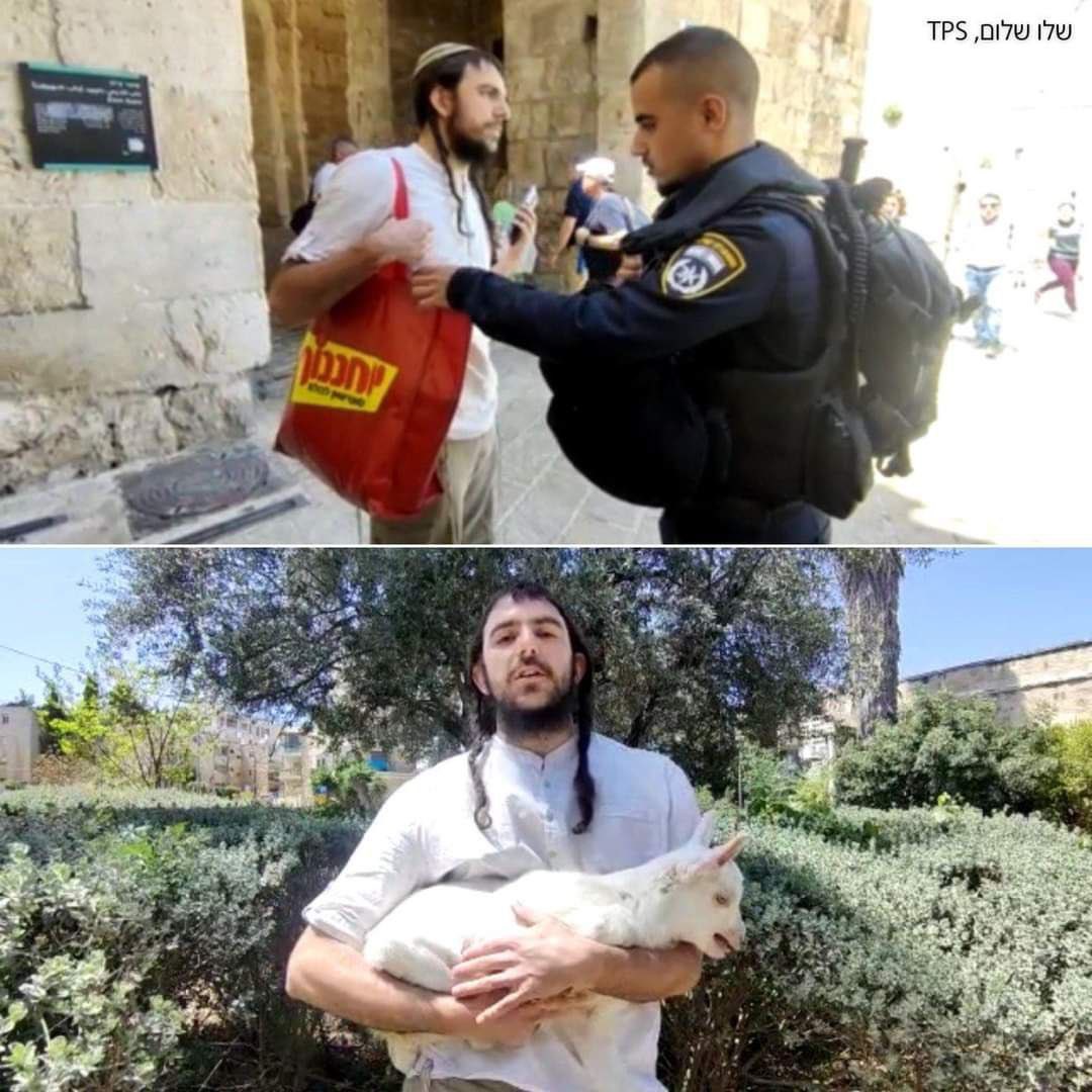 تحية،
الخليجيون تجاوزوا هذه المسرحيات منكم وممن تجندوهم لخدمة أهدافكم، سواء بعملهم أو بدون علمهم، أما مايفعله المتطرفون اليهود الذين أتوا بالماعز لذبحها قربانًا وتلطيخ دمها في #المسجد_الأقصى تمهيدًا لهدمه كما يزعمون، هم يستفزون المسلمين جميعًا وهو أمر لا يخص الفلسطينيين وحدهم.