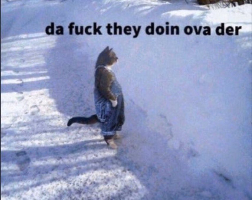 iAmTheWarax's tweet photo. me watching russia invade ukraine and promptly lose 8 generals, 15 field grade officers, 10s of 1000s of soldiers, 506 tanks, 302 afvs, 522 ifvs, 21 aircraft, 34 helicopters, 4 ships (including the flagship of black sea fleet), and then have the audacity to threaten nato https://t.co/Tg0K2AZIrX