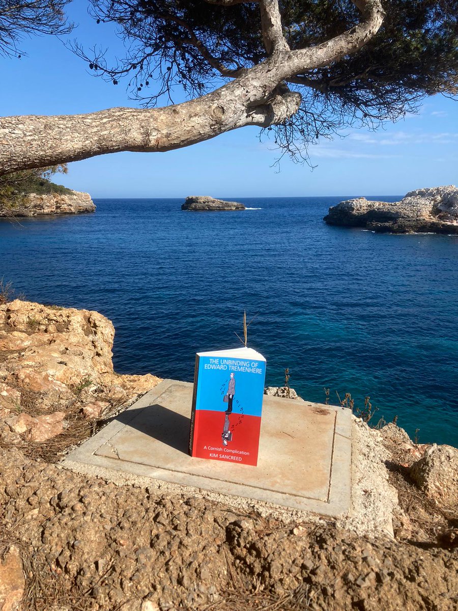 You encourage folk to embrace your novel as the ideal holiday read. You wonder whether anyone is listening. Then somebody sends you this. Very cheering!