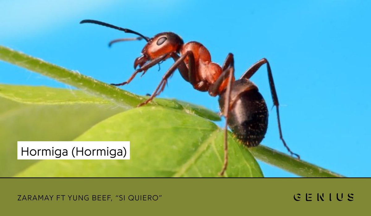 yung beef out of context (@oocseco) on Twitter photo 