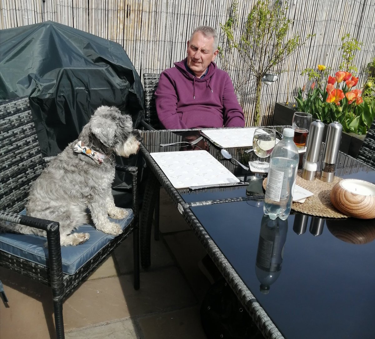 Albie and hoodad waiting for their lunch 😂