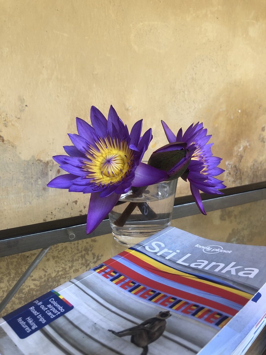 EleanorDryden's tweet photo. After taking a month out, post-redundancy + a bereavement that broke my heart, to travel around Sri Lanka, I couldn’t be more excited that my first day back - Thursday 21 April - I’ll be . . . 1/2 https://t.co/DpG7UKLk2o