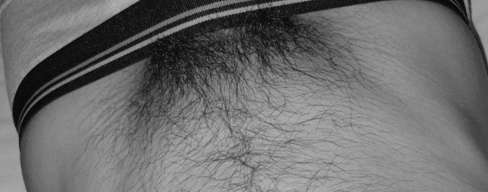 BiGuy111's tweet photo. Hairy            or            Smooth? https://t.co/IrdvWe9EqT