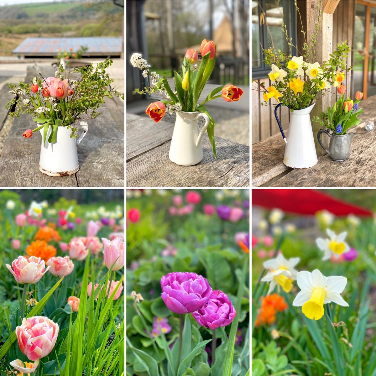 LeilaNottage's tweet photo. The stunning flowers of @fforestcamp 🌷 #fforest #wales #flowers #spring #freshflowers #wildflowers #spring #april https://t.co/xCOJh6yPH3