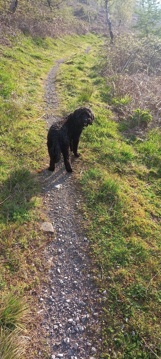 Nice stroll around margam mountain
This morning.
