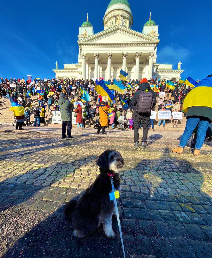 Muutama tosi tärkeä sana, toivottavasti sulla olisi aikaa lukea ne, Ukrainasta ja ukrainalaisten auttamisesta vapaaehtoistoimijan silmin. 

Toivottavasti voit lukea sen, pohtia omaa toimintaasi ja jakaa sanomaa. 

Tämä viesti on meille kaikille. 

ME EMME TEE TARPEEKSI. 1/10