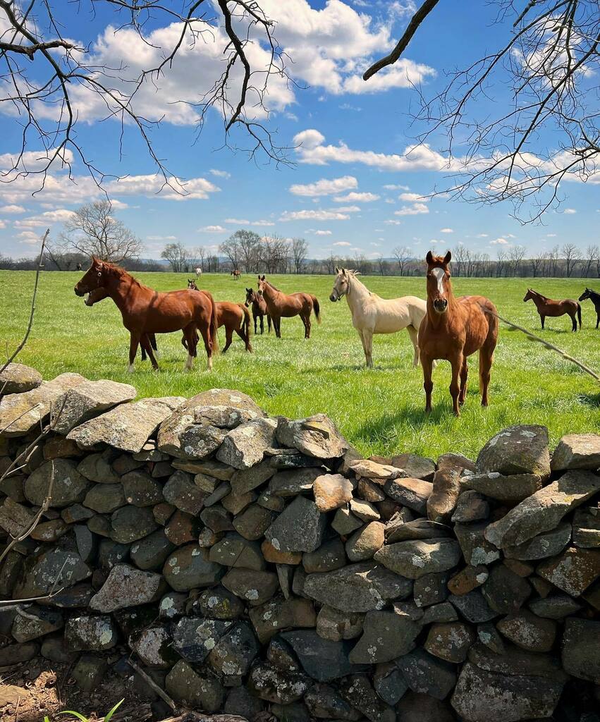 instagr.am/p/CcduK2iuMa2/